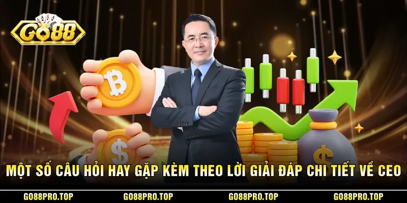 Một số câu hỏi hay gặp kèm theo lời giải đáp chi tiết về CEO